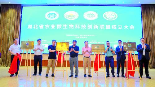 湖北省農業微生物科技創新聯盟成立
